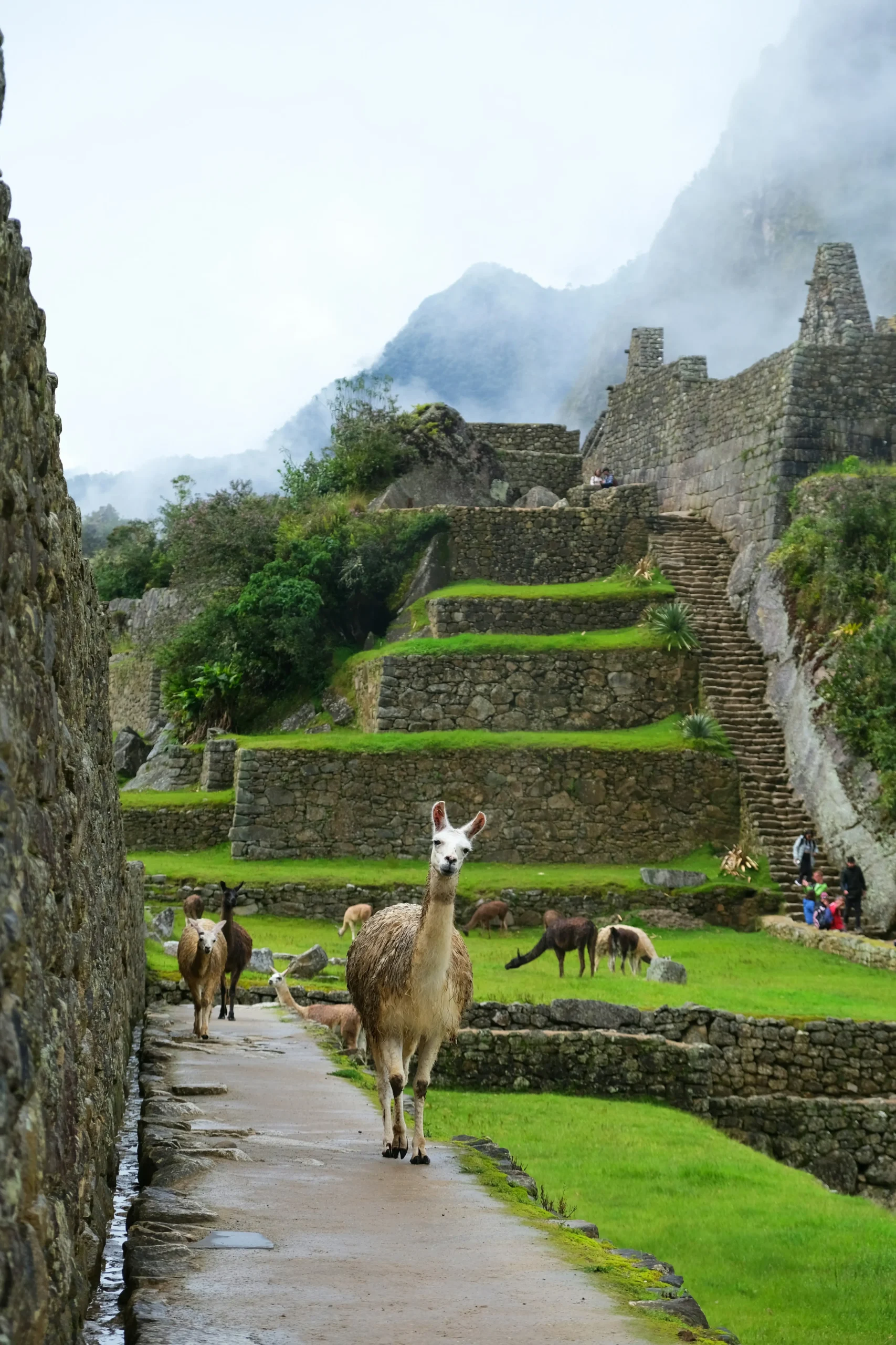 Cusco viajes