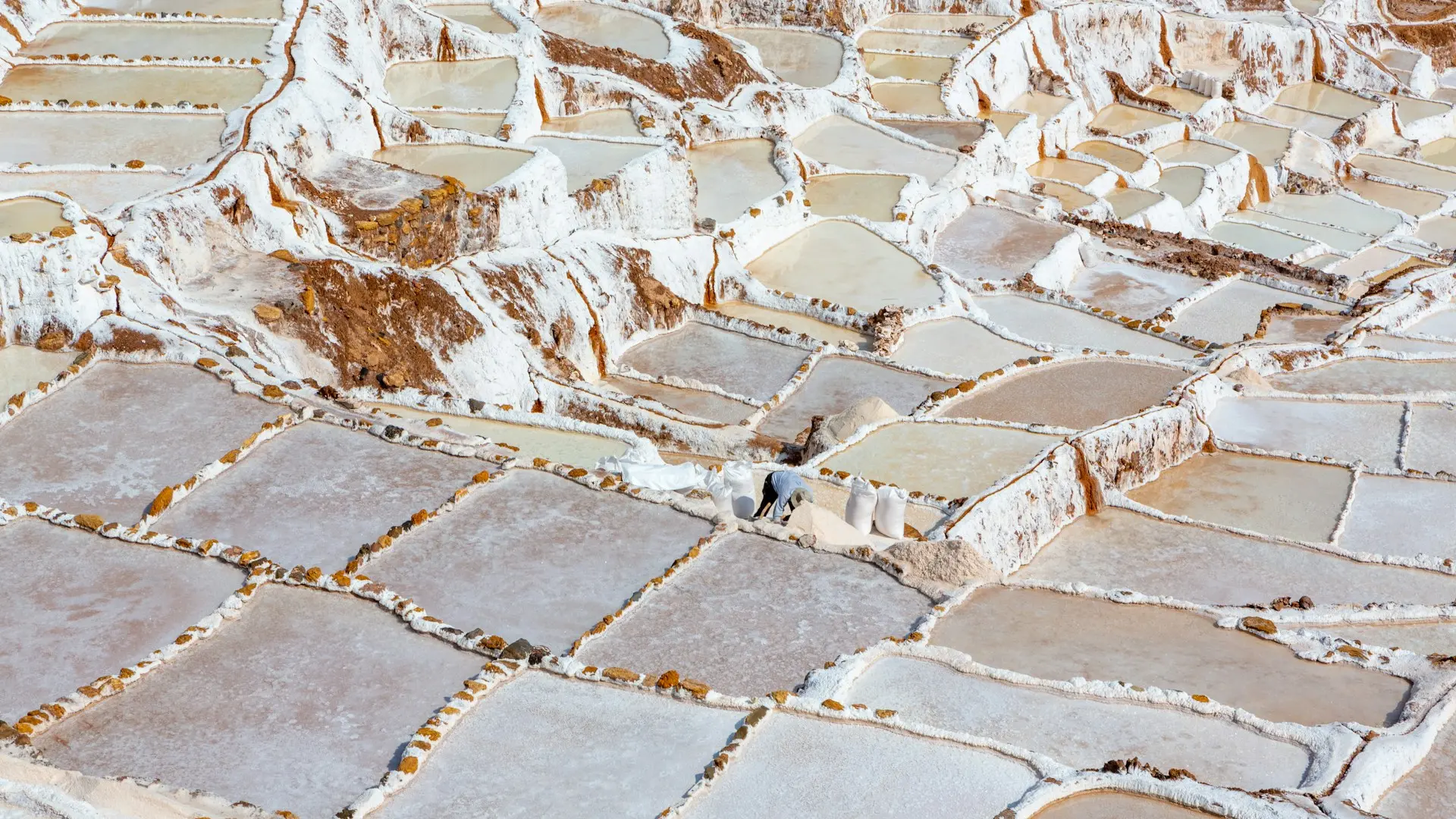 Maras Moray
