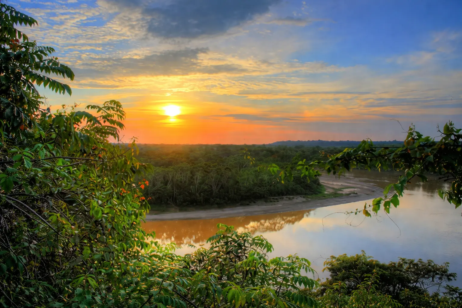 Selva Amazónica