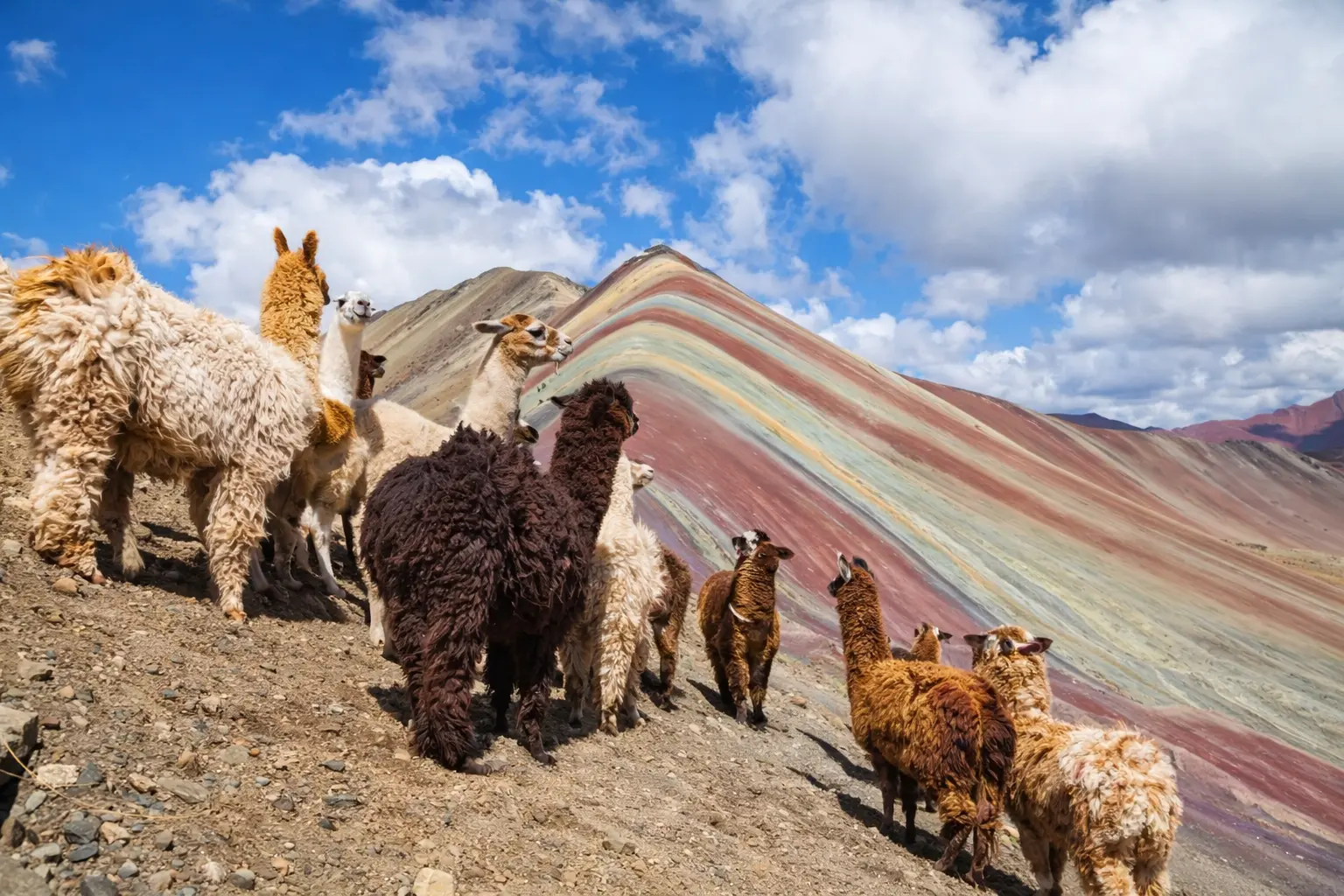 Cusco